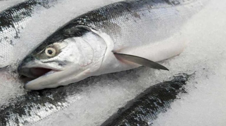 Nekoliko savjeta za najbolji način pripreme jela od ribe